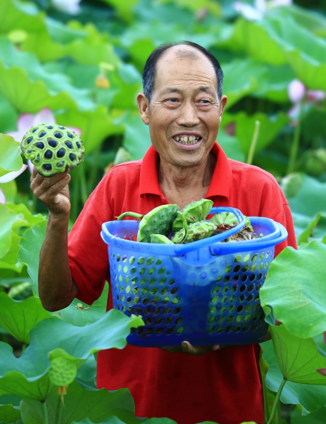 扶贫印记·组图 | 衡南县怡海村：笑容，是脱贫答卷的最美印记